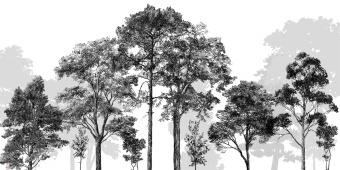 Фотообои Craft Design Lab Креатив