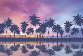 Фрески/Панно ORTOGRAF