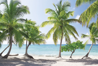 Фрески/Панно ORTOGRAF