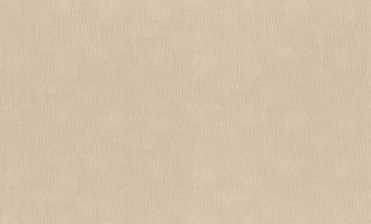 Обои Rasch Alghero