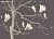 Обои Fromental Modern Chinois