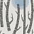 Обои Miss Print Collection 4
