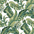 Обои Parato Amazzonia