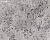 Обои Designers Guild Castellani