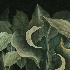 Фотообои Wall Street SUMMERTIME