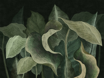 Фотообои Wall Street SUMMERTIME