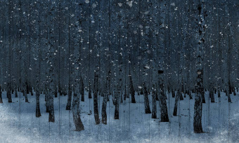  Обои Skinwall Contemporary Collection