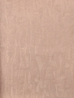 Обои Cassanie Sylvia