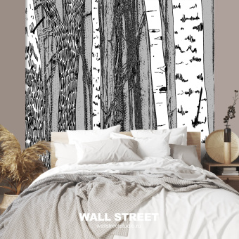 Фотообои Wall Street BERYOZI I VODOPADY