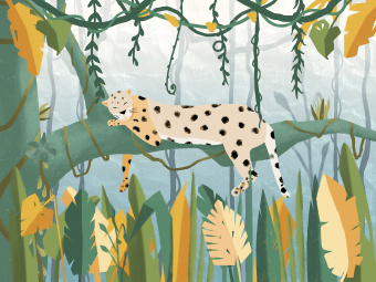 Фотообои Wall Street JUNGLE