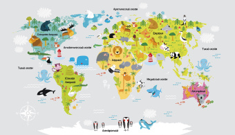 Фрески/Панно ORTOGRAF  Для самых маленьких