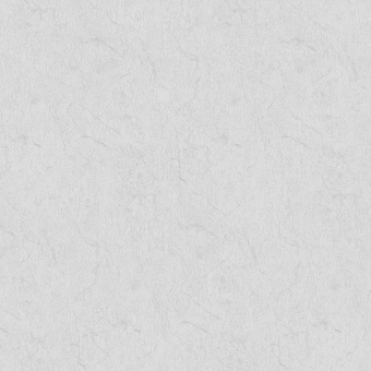 Обои Brewster Evolution 7