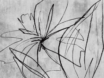 Фотообои Wall Street ROCKART