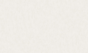 Обои Rasch Bright Whisper