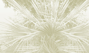 Фотообои Co.De CODE 02