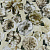 Обои Designers Guild Minakari