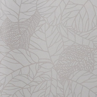 Обои Andrea Rossi Cavolli