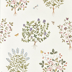 Обои Sanderson Highgrove