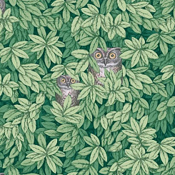 Обои Cole & Son Fornasetti Senza Tempo II