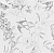 Обои Designers Guild Jardin Des Plantes