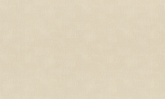 Обои Rasch Alghero