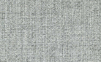 Обои Clarke & Clarke Expressions Performans