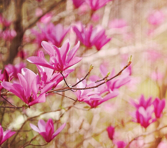 Фрески/Панно Loymina Illusion 2