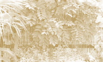 Фотообои Co.De CODE 02