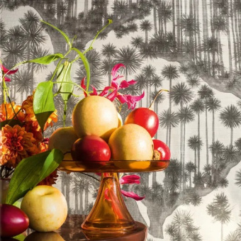 Обои Cole & Son Shinrin YOKU