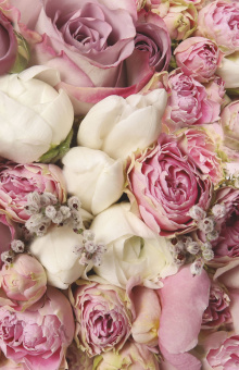 Фрески/Панно ORTOGRAF