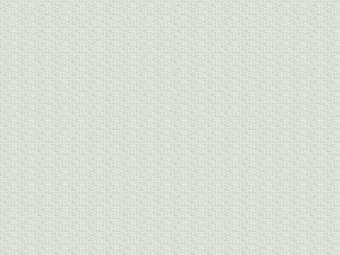 Фотообои Wall Street Fairy Foxes