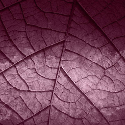  Обои Skinwall Contemporary Collection