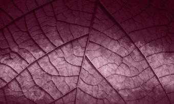  Обои Skinwall Contemporary Collection