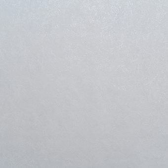 Обои Артекс Forest