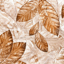  Обои Skinwall Contemporary Collection