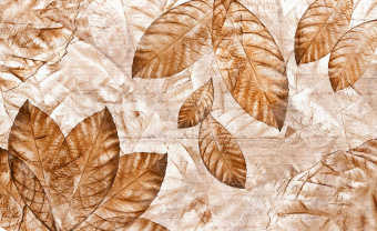  Обои Skinwall Contemporary Collection