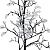 Обои Mr Perswall Urban Nature