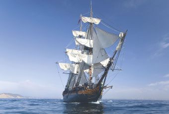 Фрески/Панно ORTOGRAF