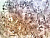 Фотообои Wall Street Aquarelle