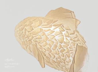 Фрески/Панно Applico