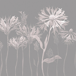 Фотообои Wall Street SUMMERTIME