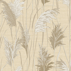 Обои Alessandro Allori Giorgio