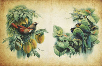 Фрески/Панно ORTOGRAF