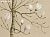 Обои Fromental Modern Chinois