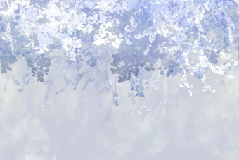 Фотообои Respace Цветы  Ультрамарин