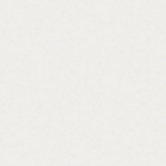 Обои Rasch Estetica