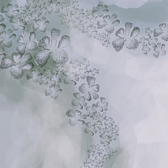 Фотообои Wall Street ASTRAL 22