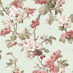 Обои Alessandro Allori Giorgio