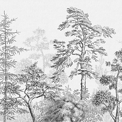 Фотообои Wall Street PASTORALE