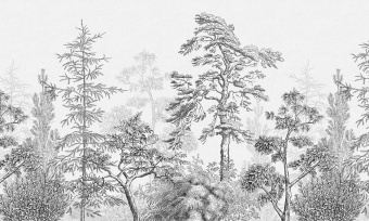 Фотообои Wall Street PASTORALE